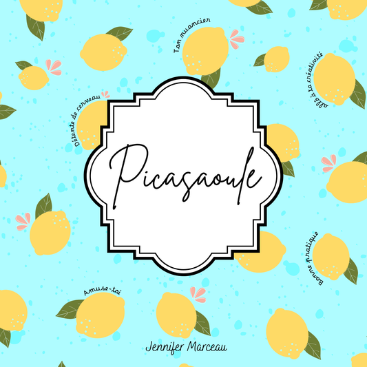 Picasaoule - Ton nuancier boudiné