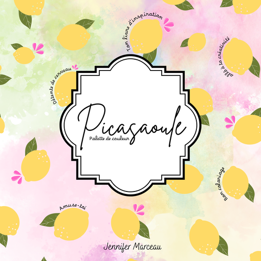 Picasaoule palette de couleur numérique
